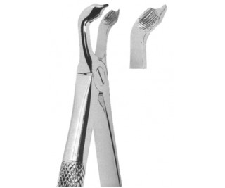 Extracting Forceps English pattern
